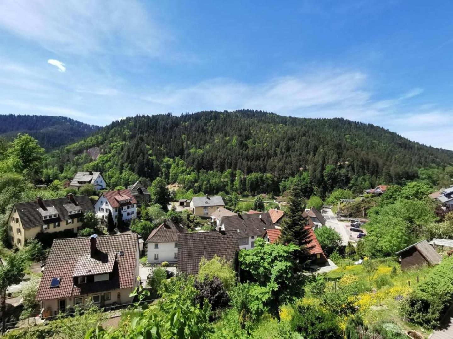 Ferienwohnung Am Rubersbach Hornberg Eksteriør bilde